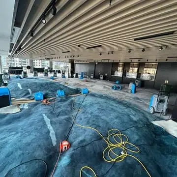 Supporting visual for Structural drying Auckland