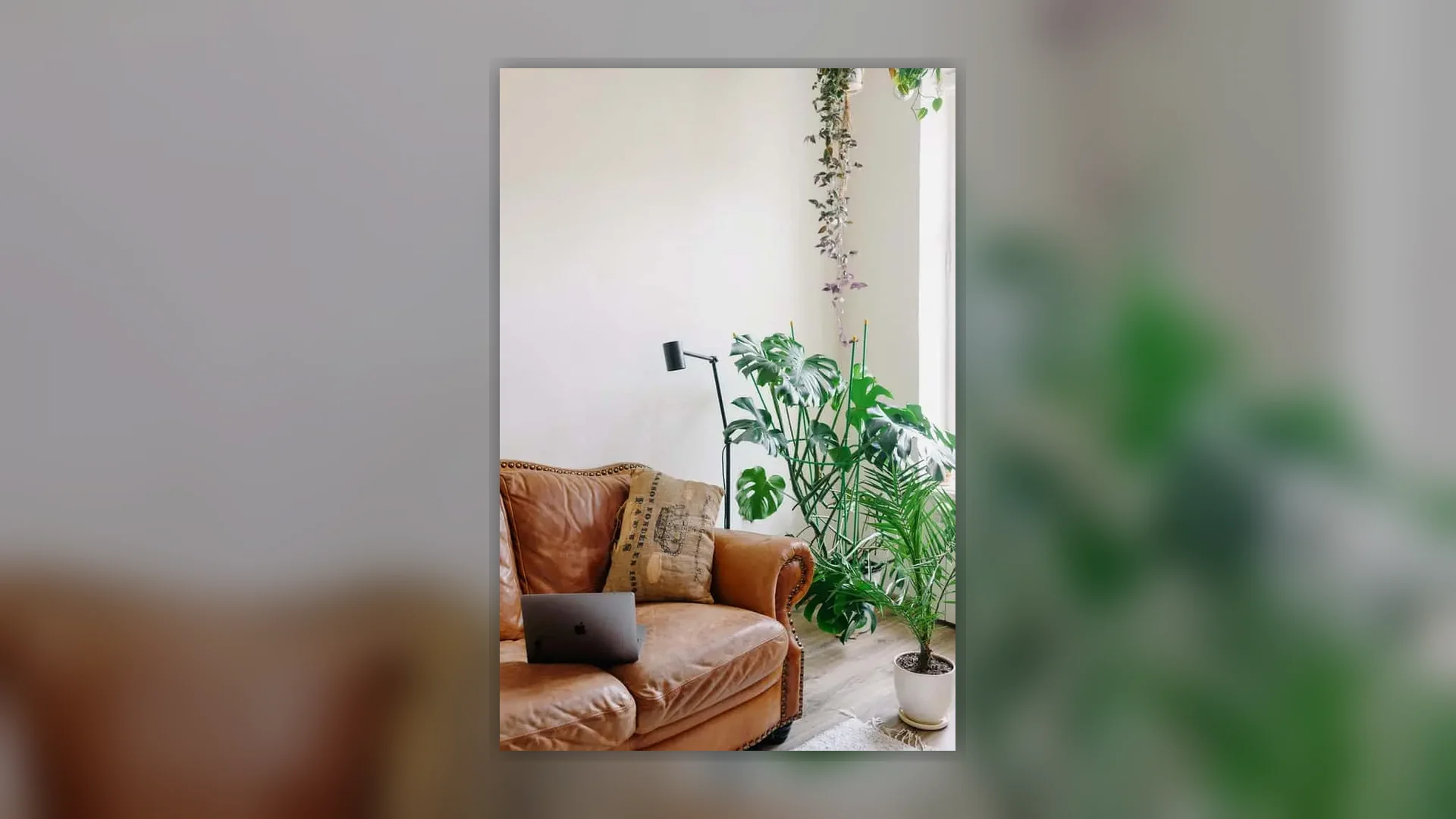 Surface and equipment relevant to Leather upholstery cleaning Auckland