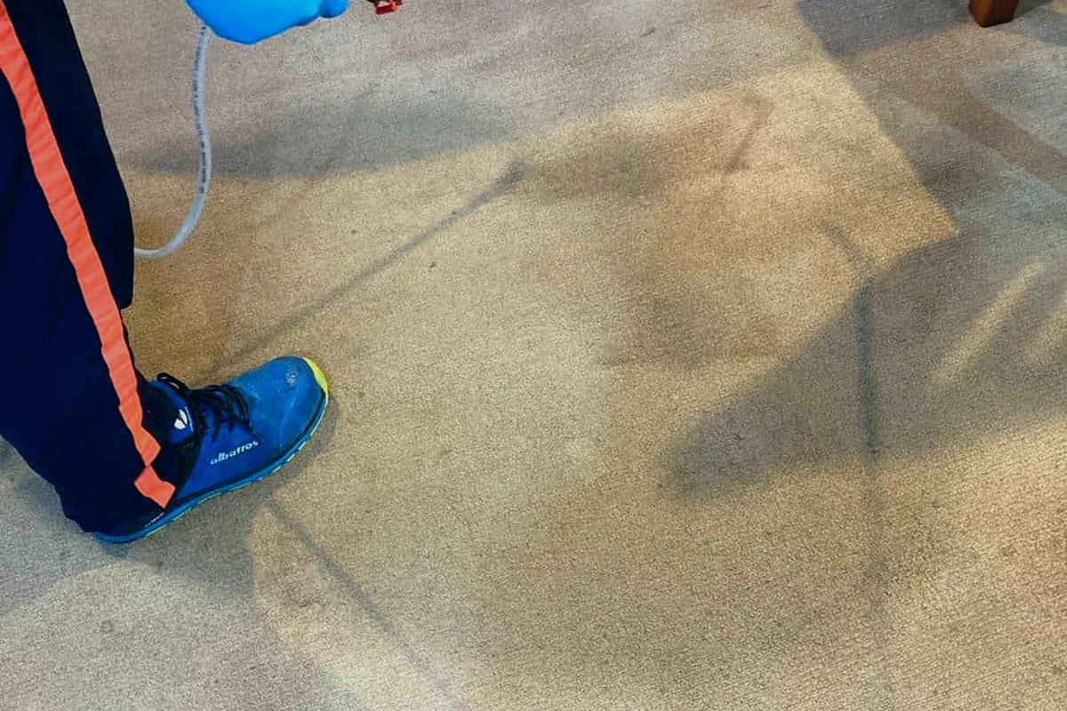 Surface and equipment relevant to Rug cleaning Auckland